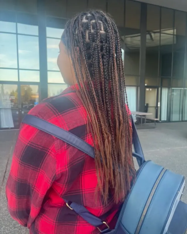 Long braids with red and blonde accent strands.
